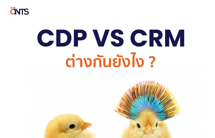 รูปภาพประกอบ CDP VS CRM ต่างกันยังไง